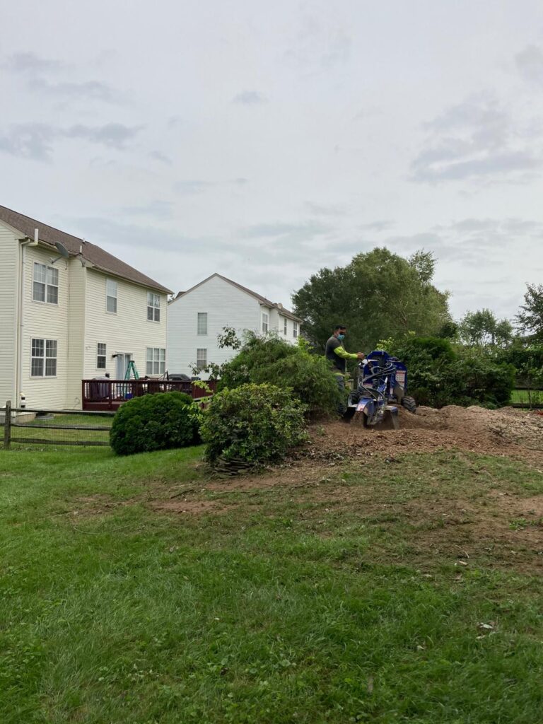 Home 26 treeservicesinelktonmd (15)